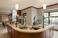 Staybridge Suites Tampa East- Brandon Hotels in Hillsborough County