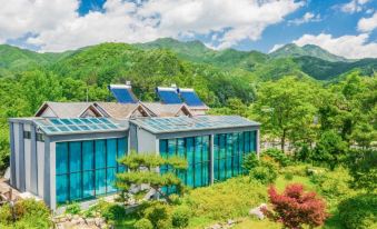 Hongcheon Rivervalley Poolvilla Spa Pens