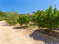 Villa Tavaglione Hotels in 