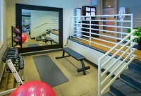 Embassy Suites by Hilton Chicago O'Hare Rosemont - Fitnessstudio