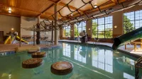 Best Western Plus Kelly Inn  Suites