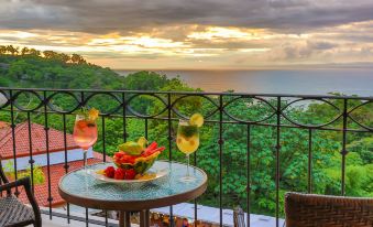 Shana by the Beach Manuel Antonio