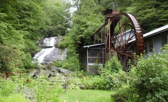 a large water wheel is located in front of a waterfall , surrounded by lush greenery at Sylvan Falls Mill B&B