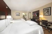 레드 루프 인 세인트 어거스틴