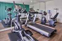Holiday Inn Express & Suites ELGIN by IHG - Gym