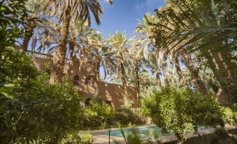 Guest House in Oasis Amazrou Zagora South Est Maro