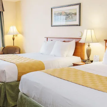 Lavissh Inn and Suites