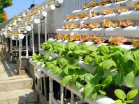 TechieRoom Kotlin at Clove Garden Residence Hotels in Cimenyan