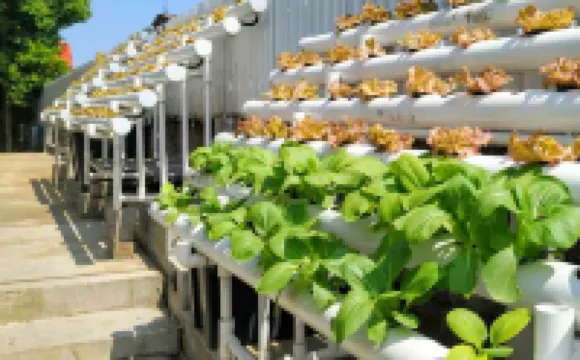 TechieRoom Kotlin at Clove Garden Residence