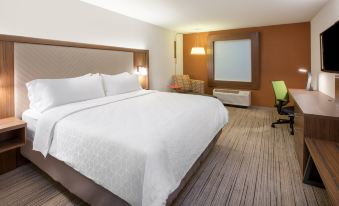 Holiday Inn Express & Suites Brevard – City Center