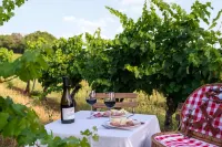 Château de Tauzies, the Originals Relais Hotels in Gaillac