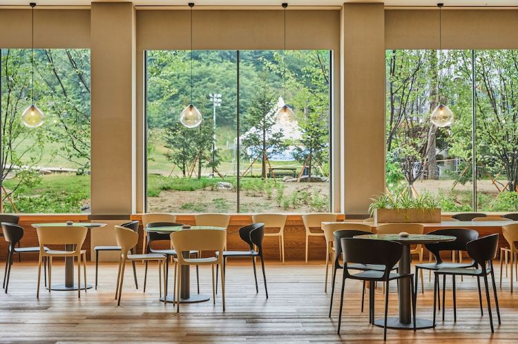 BTS IN THE SOOP stay 平昌ホテル 宿泊者限定 トレカ 未開封 BTS IN THE SOOP stay 平昌ホテル 宿泊者限定 トレカ 未開封 BTS IN