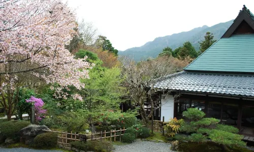 Japanese Ryokan Seryo