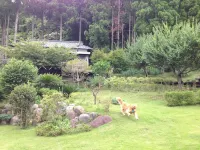 Hotel Shikino Kura Hôtels à : Kawazu