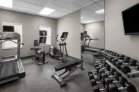 Residence Inn Tampa Oldsmar - Gym