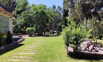 a lush green lawn with trees and bushes , as well as a pathway leading through the yard at Memento