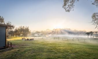 a serene scene of a park with trees , grass , and benches , as well as a misty atmosphere at The Swan Valley Retreat