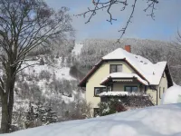 Ferienwohnung Panorama Отели в г. Штайнах
