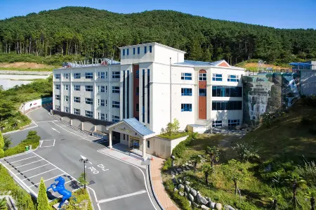 Dome Hotel Geoje Отели в г. Кодже
