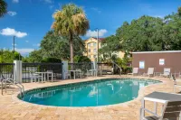Holiday Inn Tampa North Hotels in Temple Terrace