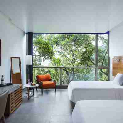 Mashpi Lodge Rooms
