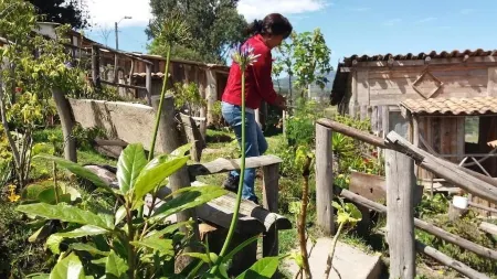 Cabañas y Glampings Balcon del Lago Отели в г. Гонсалес Суарес
