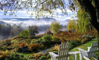 a serene garden with a wooden adirondack chair , surrounded by lush greenery and a misty landscape at Windham Hill Inn