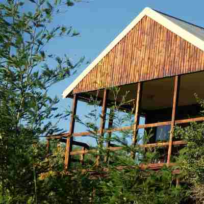 Riverman Cabin Hotel Exterior