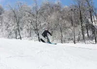 Seven Springs 1 Bedroom Deluxe Condo, Pet Friendly! - Holiday Apartments