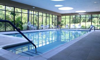 a large indoor swimming pool with a ladder and chairs , surrounded by windows that allow natural light to enter at Hampton Inn Warrenton, VA