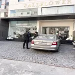 The Wallflower Hotel