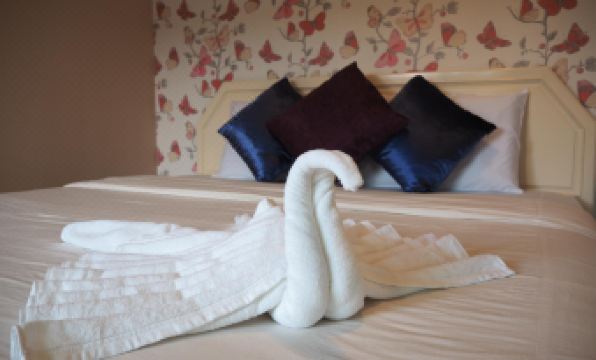 All Day Hotel