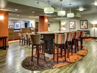 Hampton Inn Johnson City Hotels in Johnson City