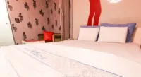 Shine Motel - Cho phép mang theo thú cưng