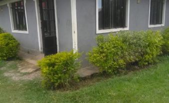 a gray house surrounded by green grass and bushes , with a black door in the front at Eddys Resort