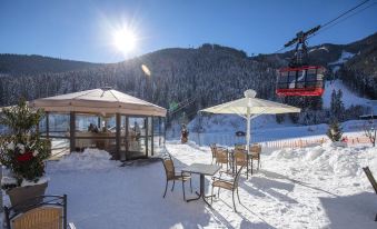 Vaya Zell am See Inklusive Zell am See Kaprun Sommer Karte