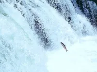 Guest House Hagoromo 39 - Vacation Stay 12003V