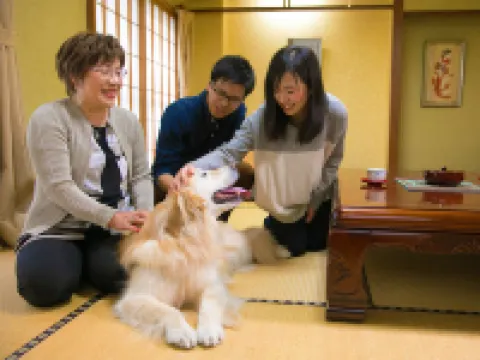 Ryokan New Ougiya Hotels in Fukushima City