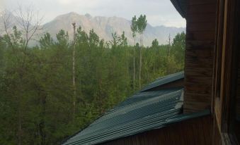The Oasis Srinagar