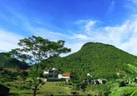 Cuc Phuong Bungalow