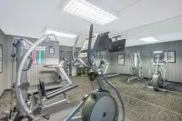 Ramada by Wyndham Midtown Grand Island - gimnasio