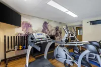 Best Western Harrisburg North - gimnasio