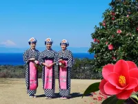 Hotel Moana Spectacular Ocean View Cafe Lounge BRE Hotels in Ōshima