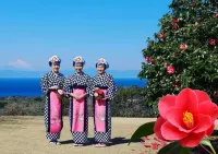 Hotel Moana Spectacular Ocean View Cafe Lounge BRE Hotels in Oshima