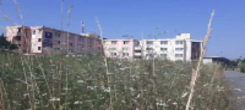 คิรีอาด ออร์ลี แอโรปอร์ต อธิส มง