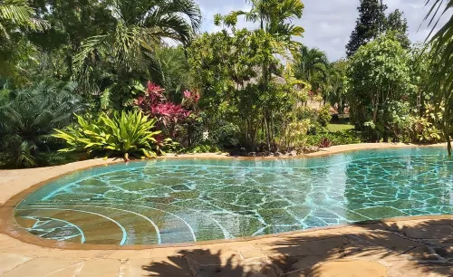 Tiwani Sunset, a Little Piece of Eden Hotels in Tiwi