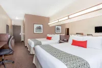 Microtel Inn & Suites by Wyndham Estevan Hotels in Estevan