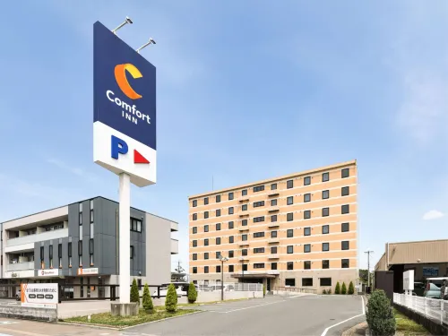 Comfort Inn Ogaki Hotels in Оґакі