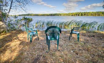 Lakefront Park Rapids Cabin w/ Grill & Fire Pit!