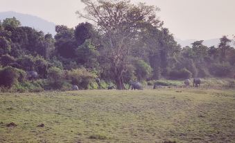 Wildernest